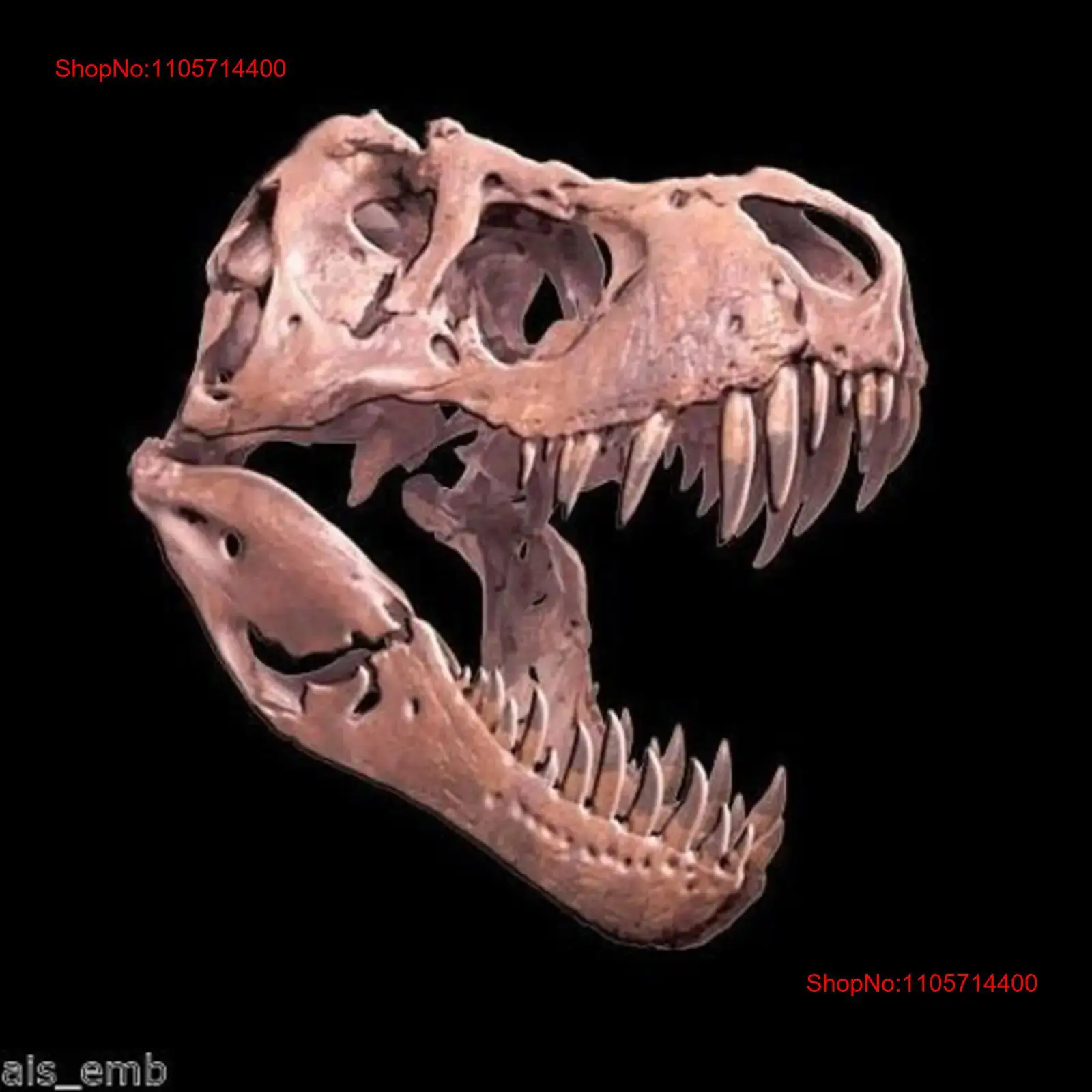 3D Printing Requests - Kaos Dinosaurus T Rex Tengkorak 3D