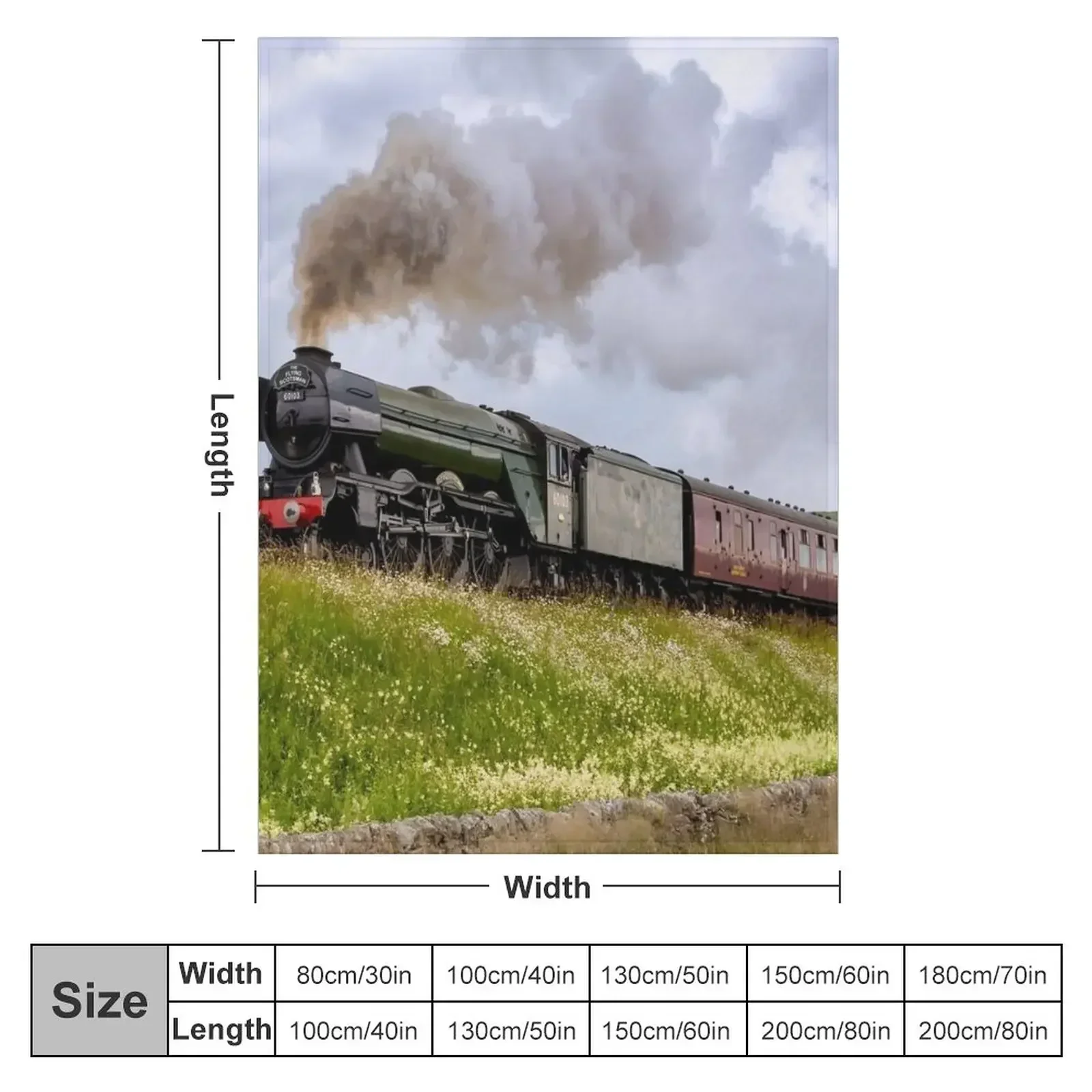 The Flying Scotsman in Yorkshi - 3D Printing Yorkshire ulasan dan harga