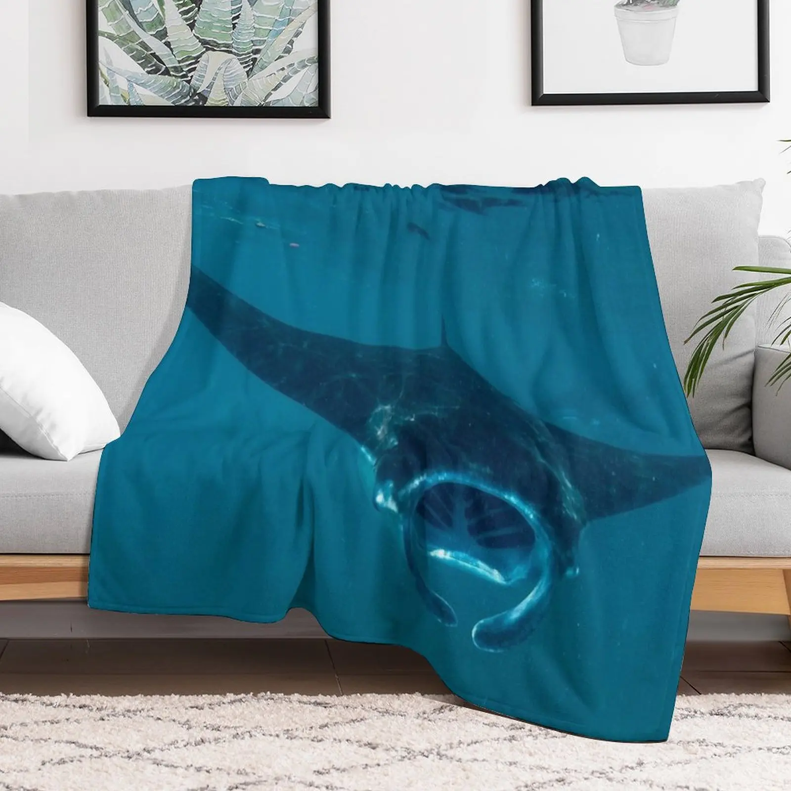 Curious Manta Ray At Crystal B - 3D Printing Bali ulasan dan harga